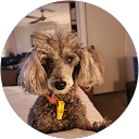 Melanie McKenzie Avatar